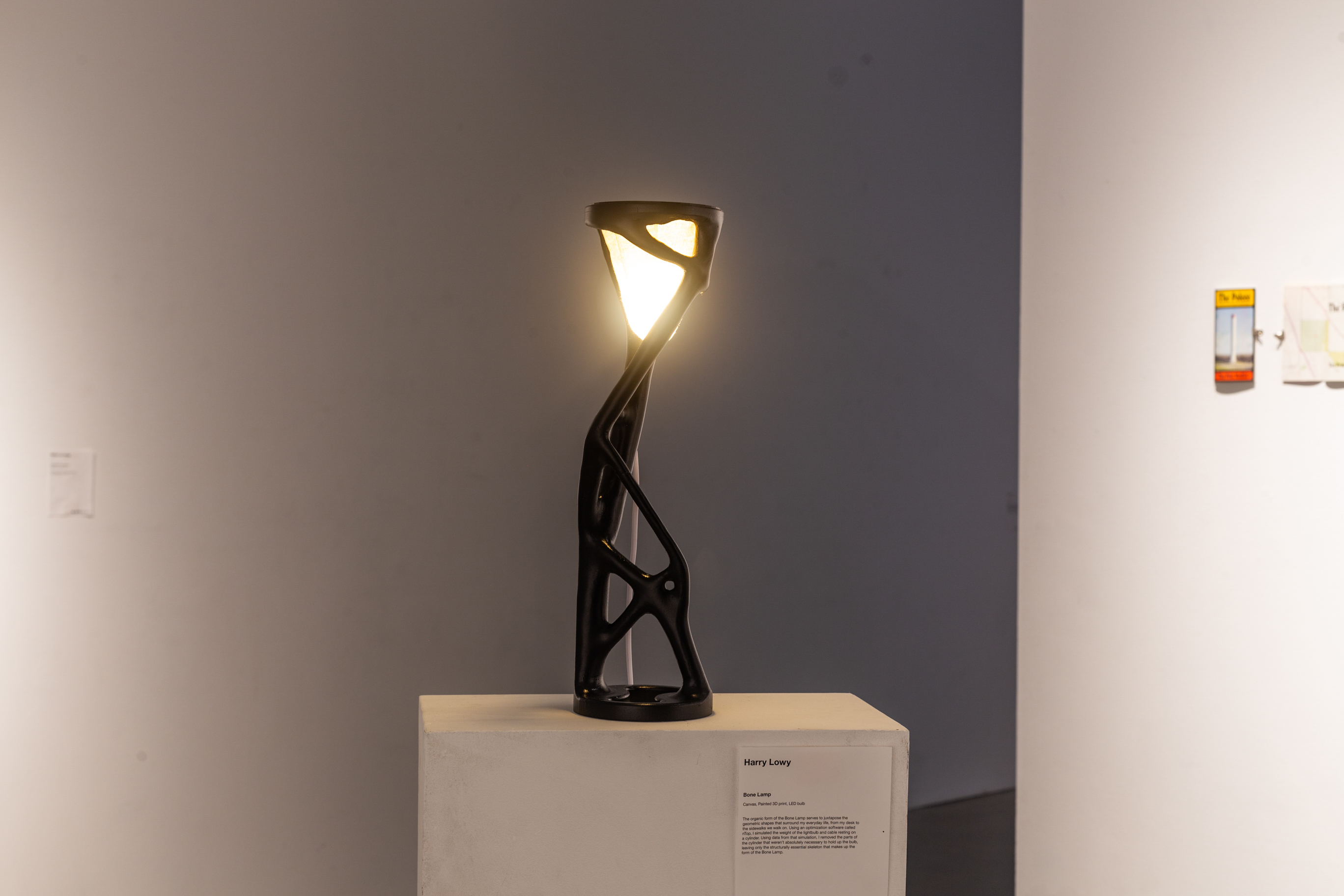 A 3D printed sculptural object with a light on the top of it. The form is very organic.